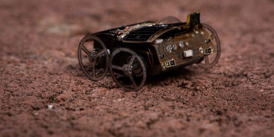 Photo credit: Mark Stone/University of Washington