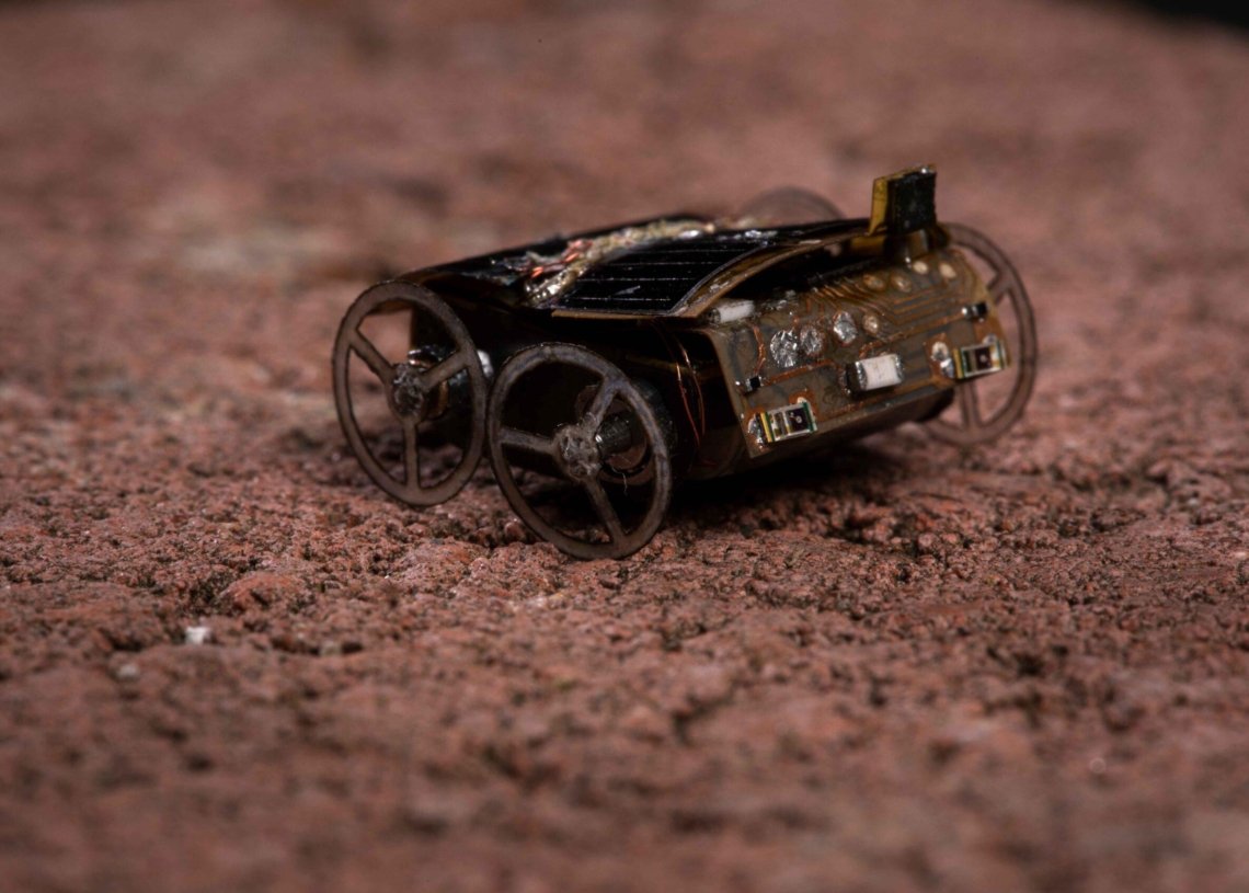 Photo credit: Mark Stone/University of Washington