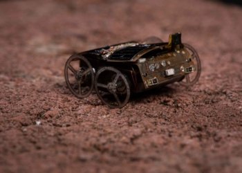 Photo credit: Mark Stone/University of Washington